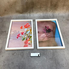 gallery/305